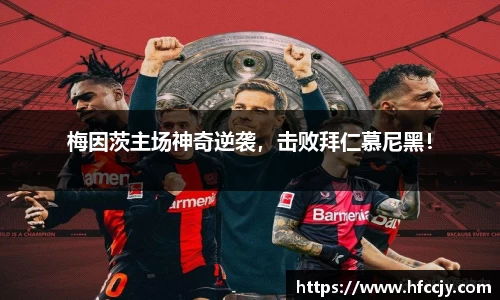 emc易倍