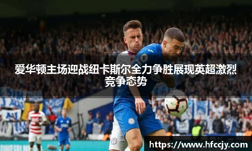 emc易倍体育