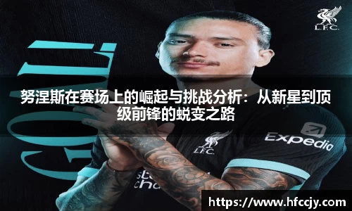 努涅斯在赛场上的崛起与挑战分析：从新星到顶级前锋的蜕变之路