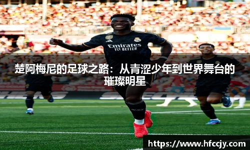 emc易倍